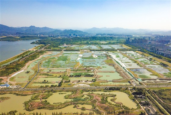 平天湖风景区:生态保护与绿色发展并进