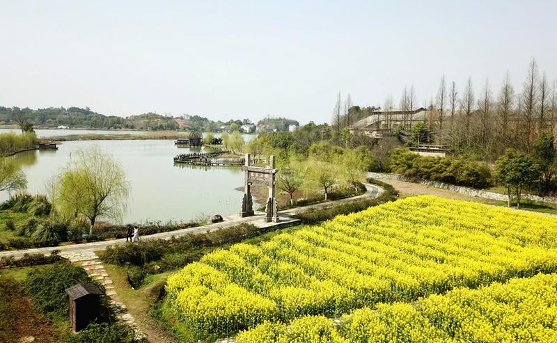 图为春日杏花村景观.