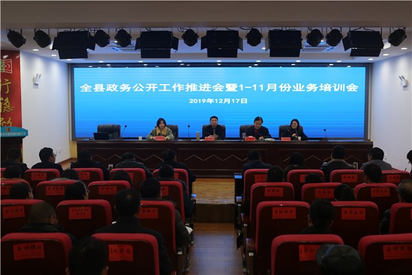 施为民对我县政务公开和网站建设工作取得的成绩给予充分肯定.
