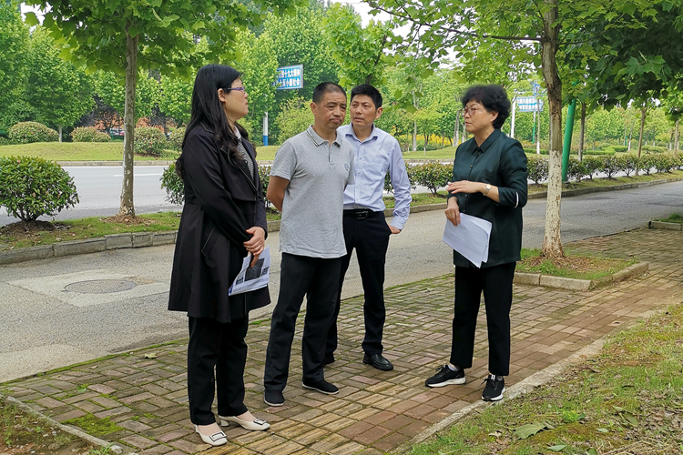 副市长贾瑄调研主城区社区卫生服务中心创建社区医院选址工作