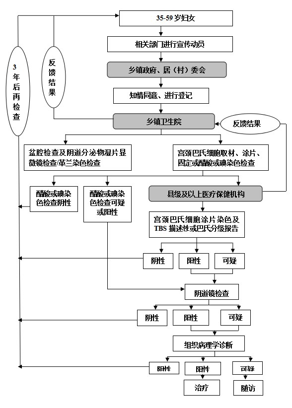 宫颈癌检查流程图