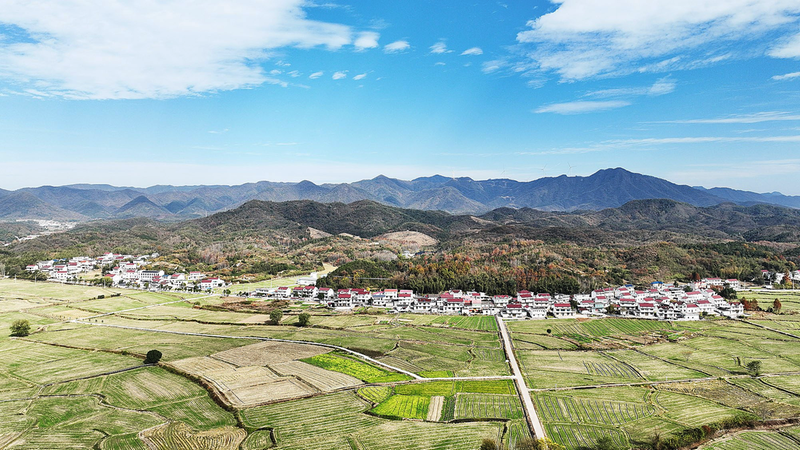 石臺縣小河鎮東莊村做足糧頭連食尾大文章