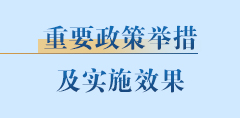 重要政策舉措及實施效果