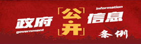 政府信息公开条例专题