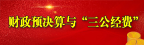 财政预决算与三公经费