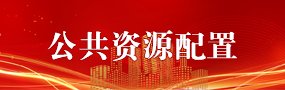 公共资源配置