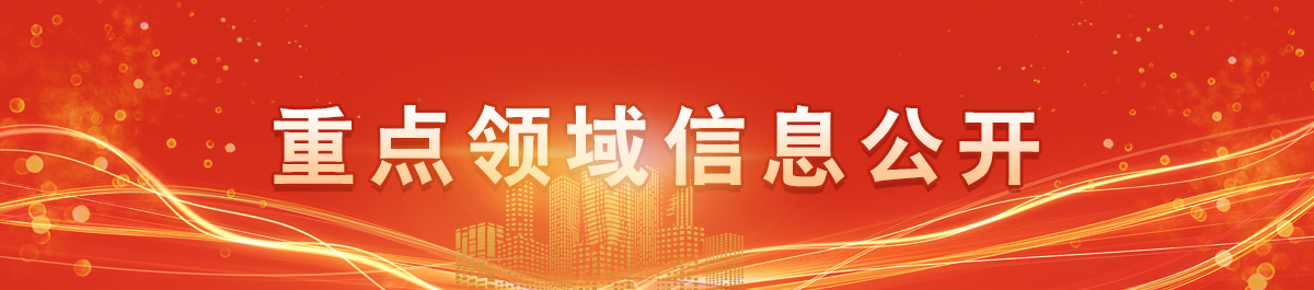 重点领域信息公开