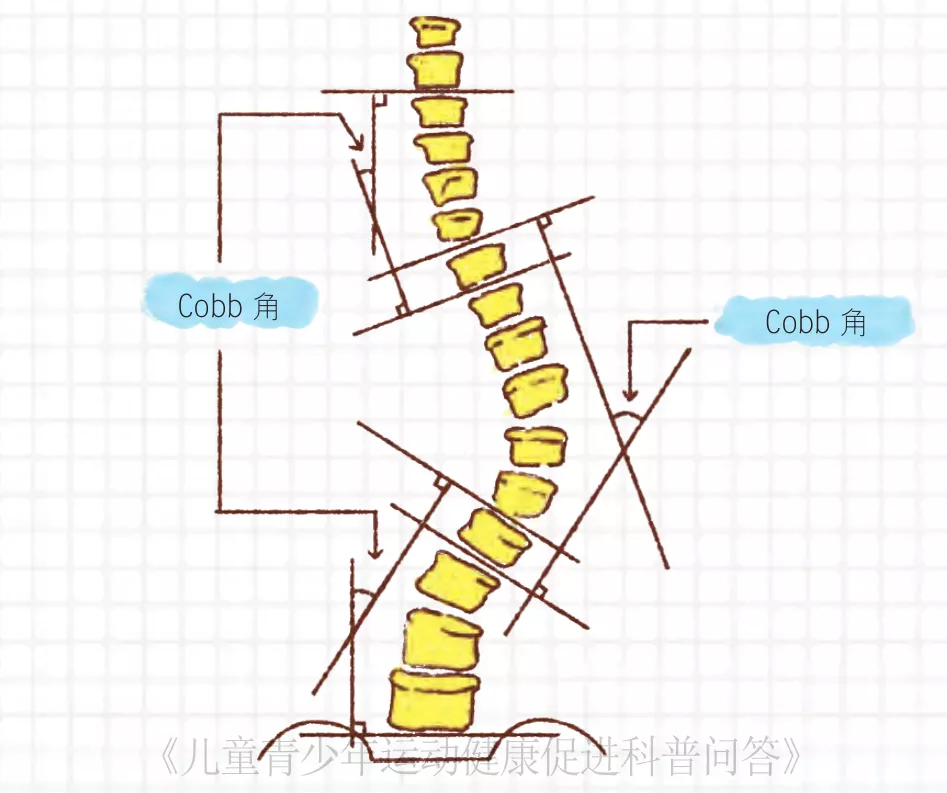 健身脊柱沟图片图片