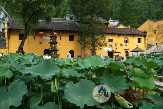 旅游服务-九华山风景区