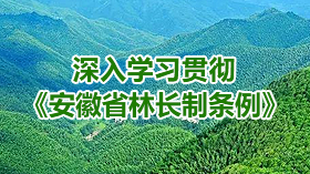 安徽省林长制条例