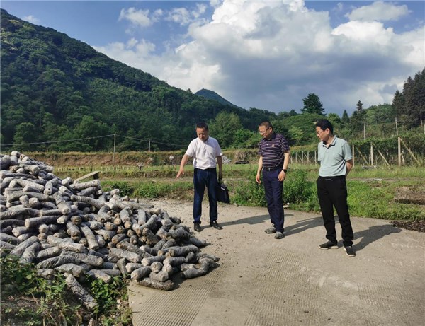 石台县政府代县长靳武开展巡河工作