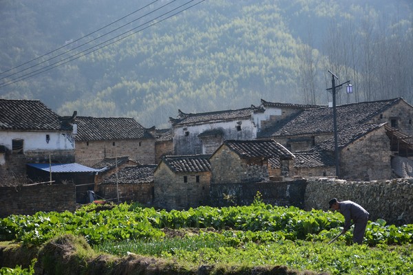 DSC_2088_看图王.jpg