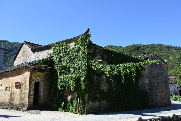DSC_3906_看图王.jpg