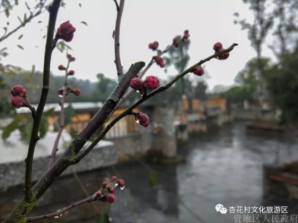 微信图片_20190108104754.jpg