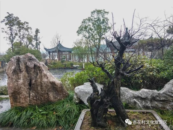 微信图片_20190108104729.jpg